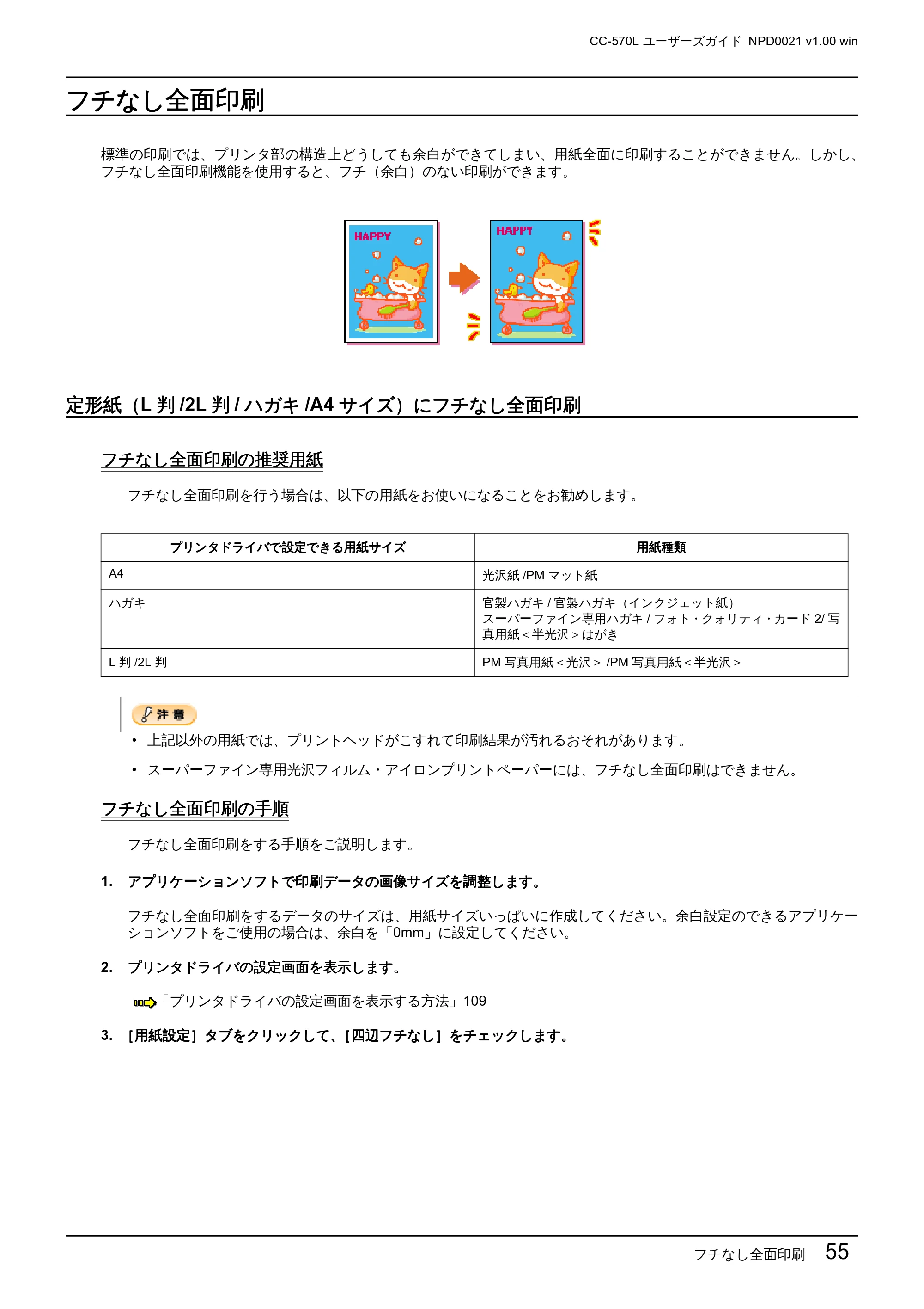 エプソン CC-570L CC-570L ユーザーズガイド (Windows版) — フチなし全面印刷 — 原本ページ — 55ページ