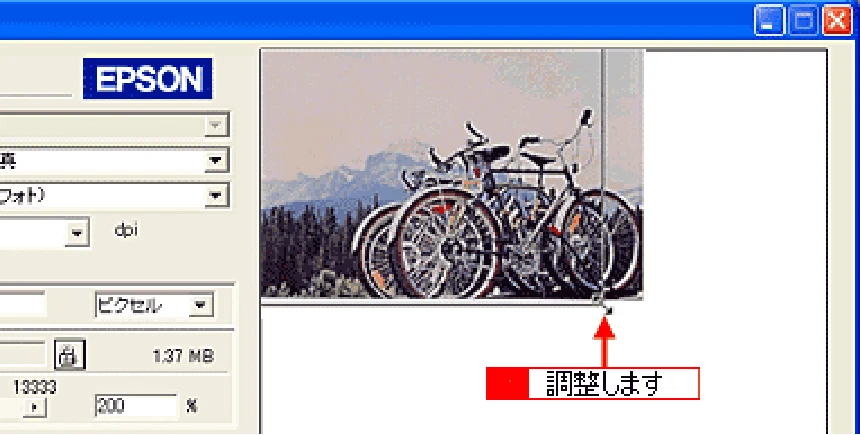 エプソン CC-570L CC-570L ユーザーズガイド (Windows版) — 取り込み後のサイズ(出力サイズ)を指定する183 — 図版 183-2 — 183ページ