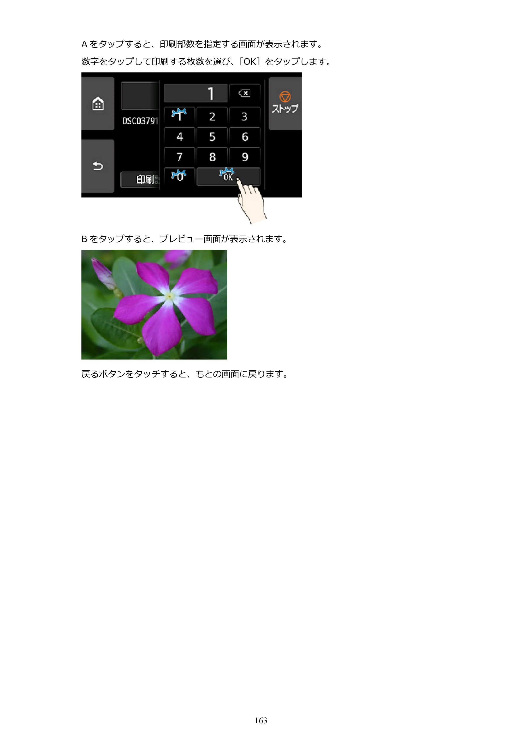 キヤノン PRO-2100 imagePROGRAF PRO-2100 （PDF） 電子マニュアル（Windows版）2023年1月26日更新（PDF：17.4MB） — 原本ページ — 163ページ