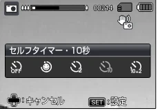 日立 HDC-1471 取扱説明書 — セルフタイマーで撮る — 図版 113-2 — 113ページ