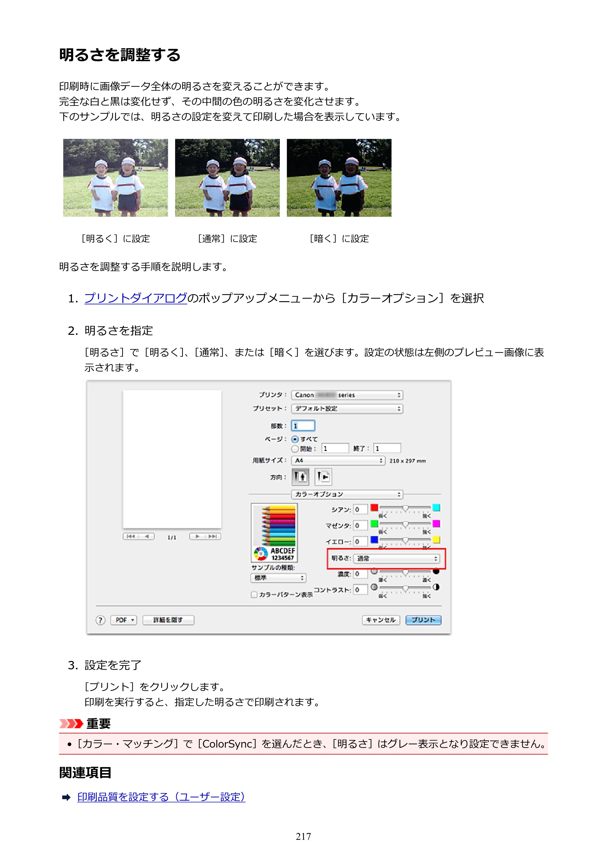 キヤノン PIXUS iX6830 iX6830 （PDF） オンラインマニュアル - 取扱説明書 - （Mac） 2026年5月21日更新（PDF：4.9MB） — 明るさを調整する — 原本ページ — 217ページ