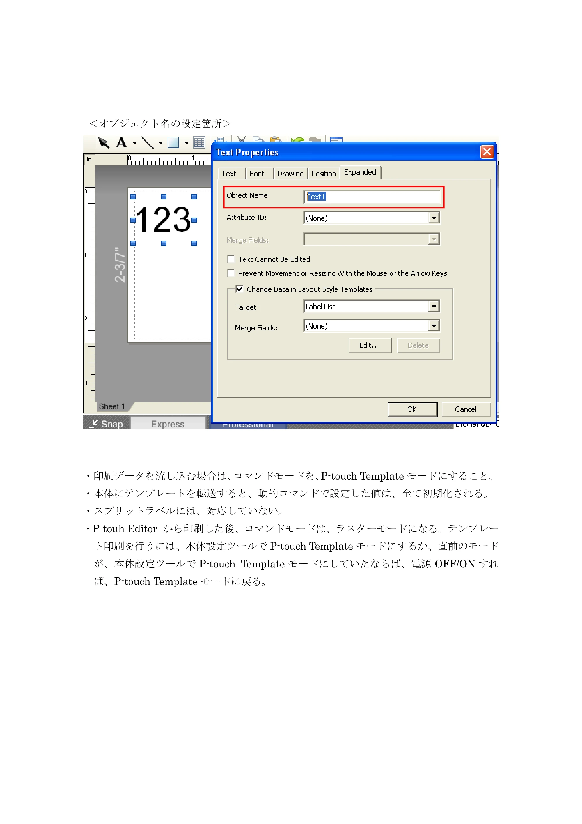 ブラザー PT-9700PC / PT-9800PCN P-touch テンプレートマニュアル / コマンドリファレンス — 原本ページ — 24ページ