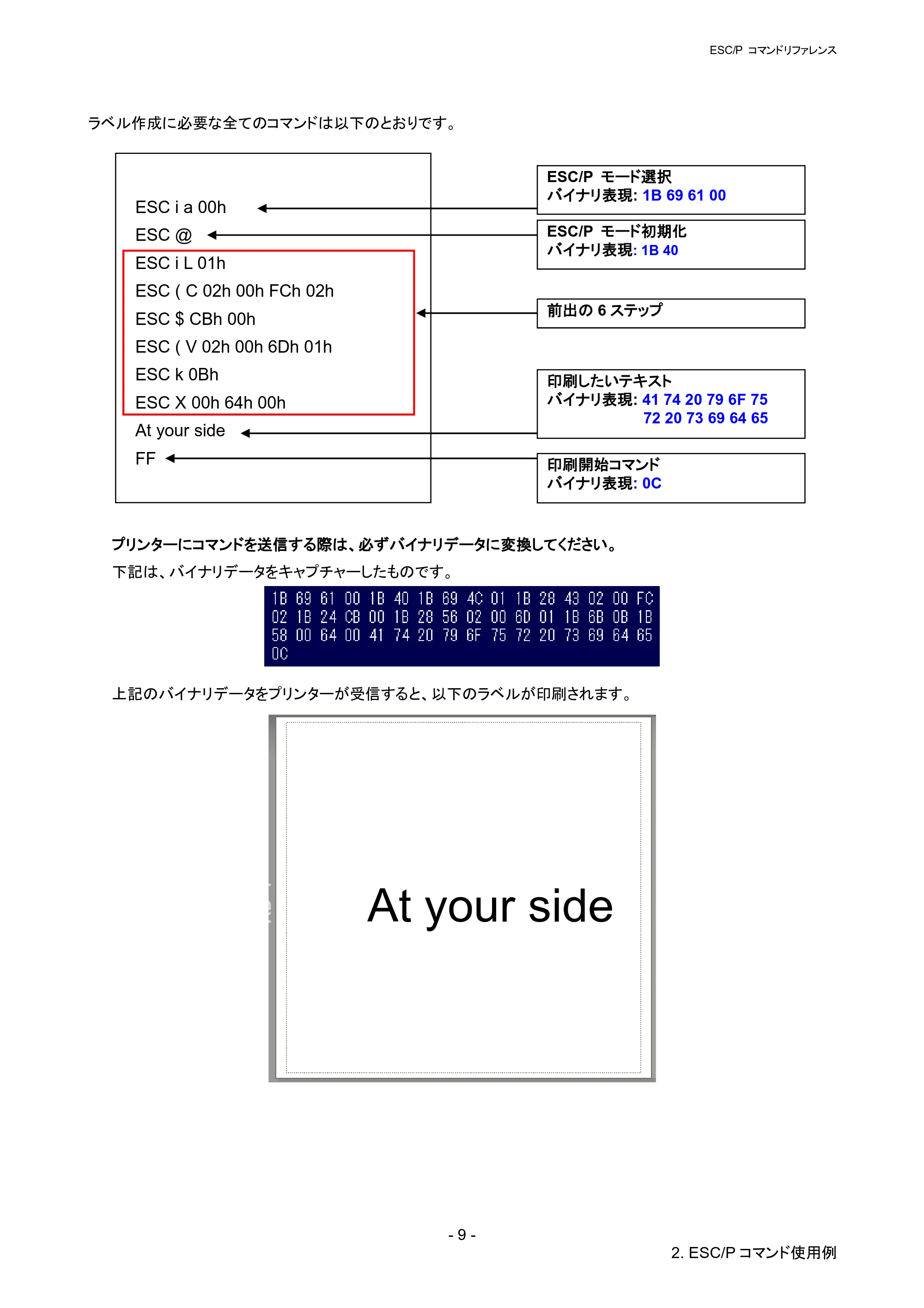 ブラザー RJ-4030 / RJ-4030Ai / RJ-4040 ESC/Pコマンドリファレンス — 原本ページ — 15ページ