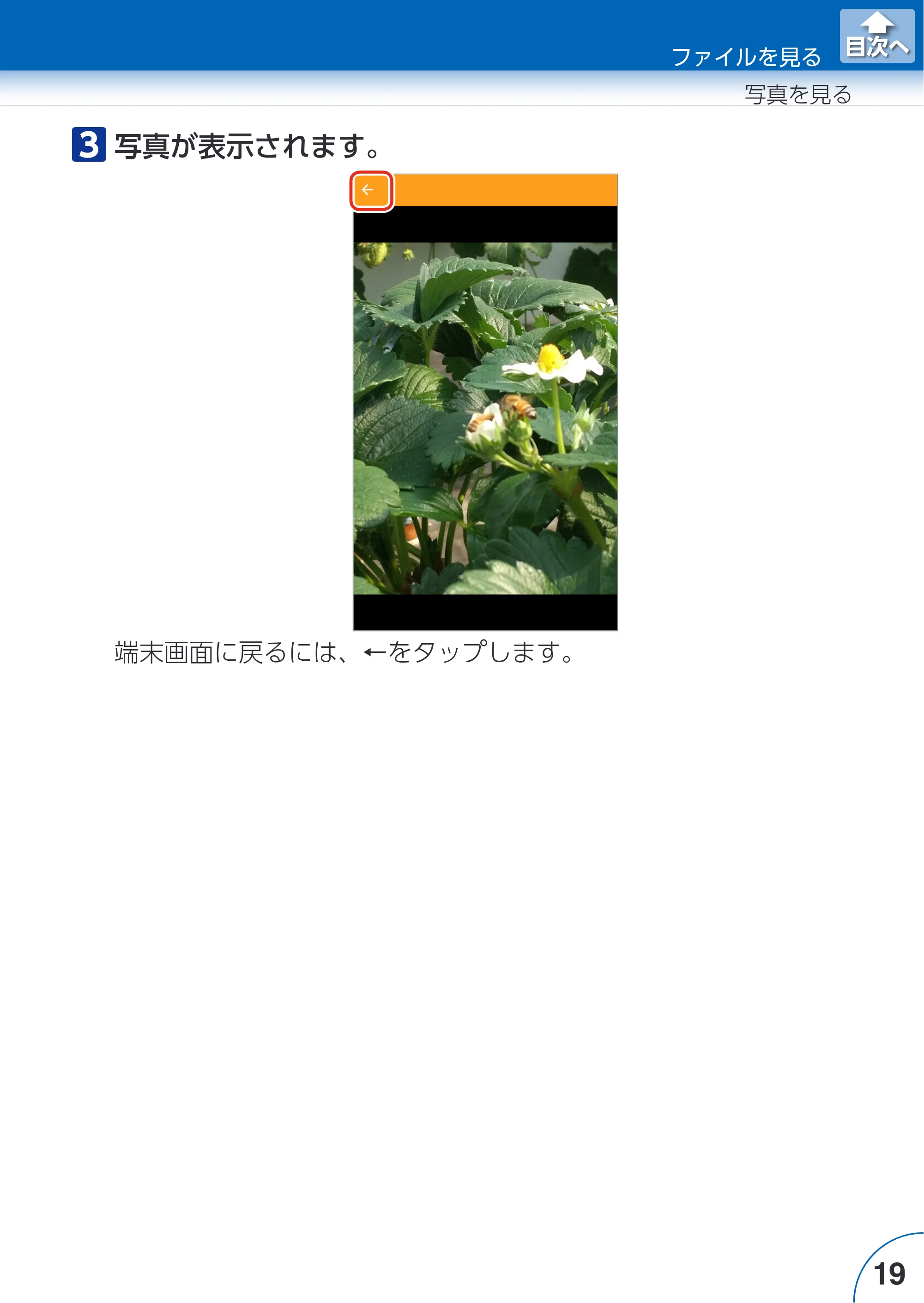エレコム LMF-LGU3A016GBK / LMF-LGU3A032GBK / LMF-LGU3A064GBK Extorage Link for iOS ユーザーズガイド — 原本ページ — 19ページ