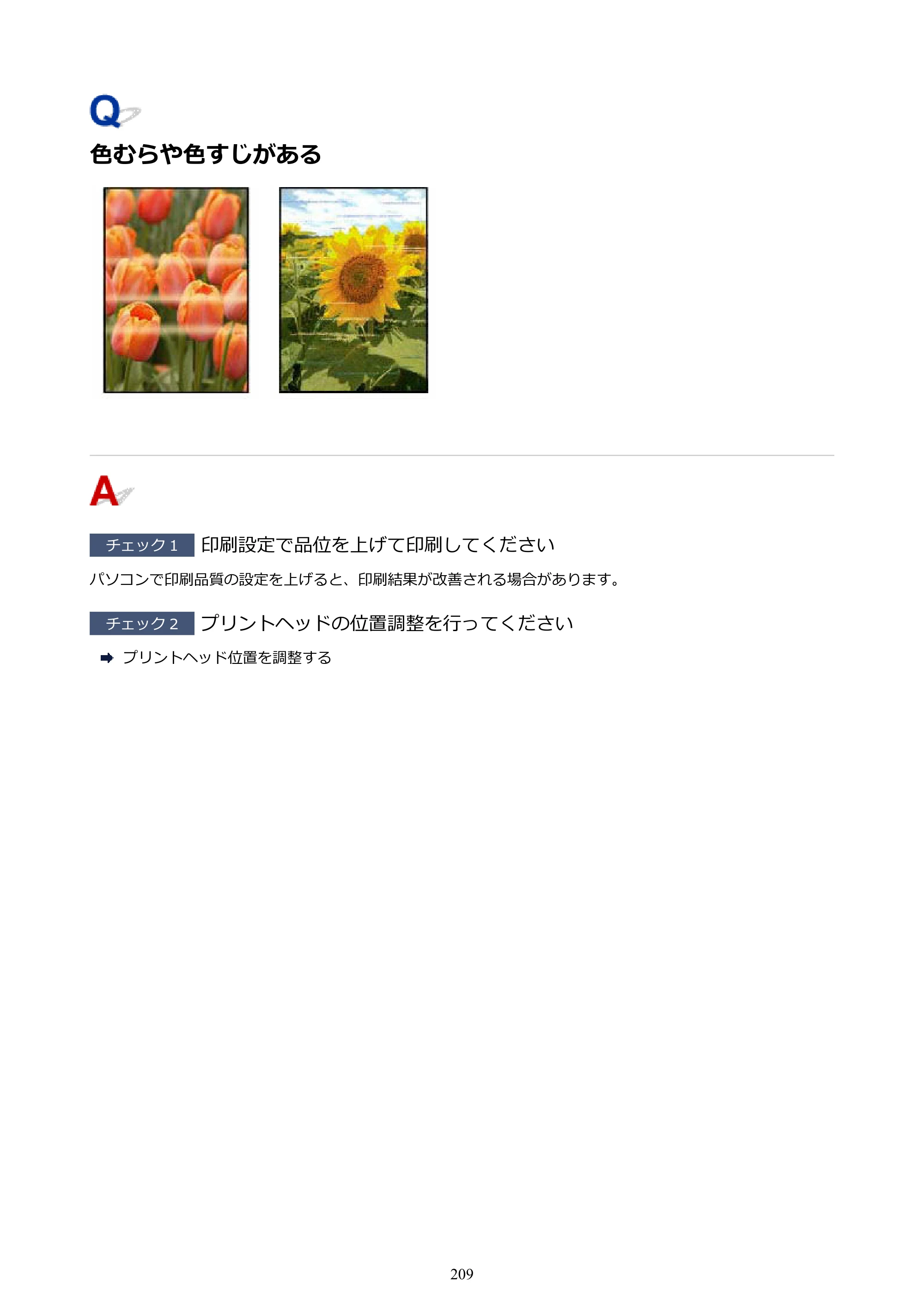 キヤノン G1330 G1330 (PDF) オンラインマニュアル 取扱説明書 2026年3月19日掲載（PDF：3.4MB） — 色むらや色すじがある — 原本ページ — 209ページ