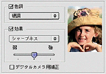 エプソン CC-550L ユーザーズガイド(Macintosh版) — 詳細設定画面 151 — 図版 151-1 — 151ページ