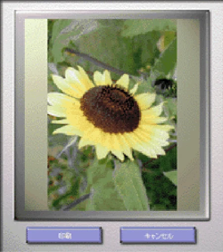 エプソン CC-550L ユーザーズガイド(Macintosh版) — DPE — 図版 209-2 — 209ページ