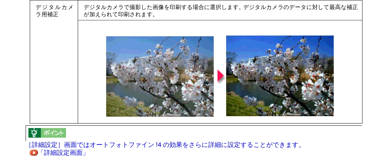 エプソン CC-550L ユーザーズガイド(Macintosh版) — 写真をきれいに印刷(オートフォトファイン!4) 212 — 図版 212-1 — 212ページ