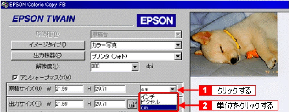 エプソン CC-550L ユーザーズガイド(Macintosh版) — 取り込み範囲を調整して取り込もう — 図版 273-2 — 273ページ