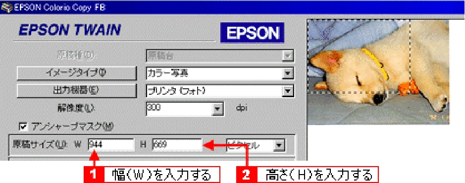 エプソン CC-550L ユーザーズガイド(Macintosh版) — 取り込み範囲を自動的に原稿に合わせる(自動範囲選択) — 図版 274-1 — 274ページ