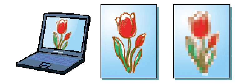 エプソン CC-550L ユーザーズガイド(Macintosh版) — 画像の解像度の調整方法 — 図版 314-1 — 314ページ