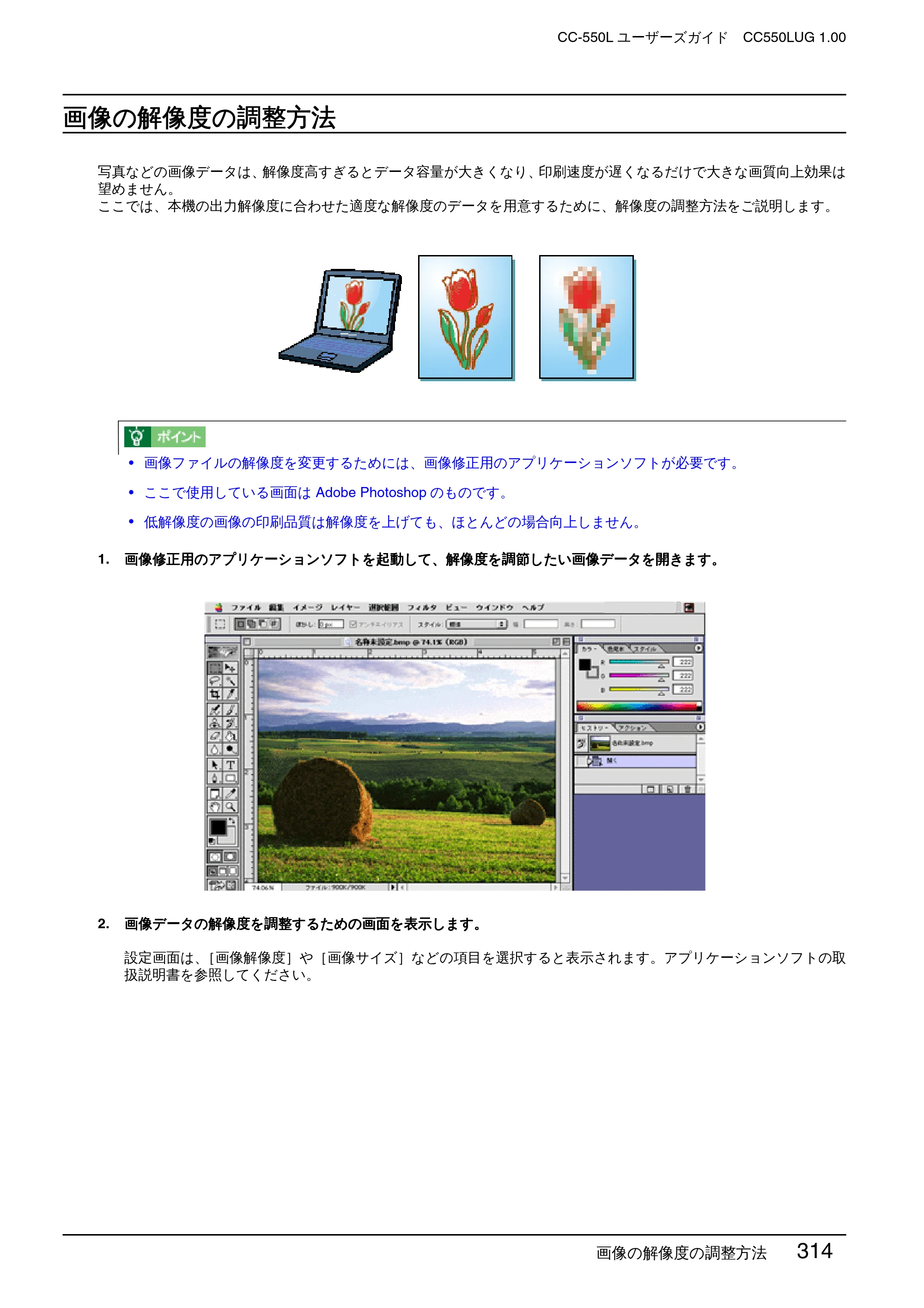 エプソン CC-550L ユーザーズガイド(Macintosh版) — 画像の解像度の調整方法 — 原本ページ — 314ページ
