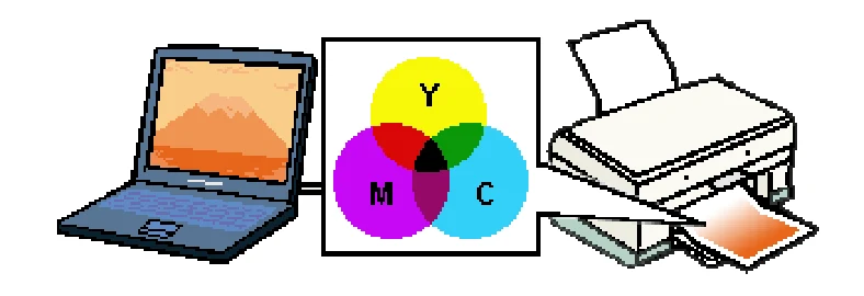 エプソン CC-550L ユーザーズガイド(Macintosh版) — プリンタ出力の発色プロセス<減法混色> — 図版 318-1 — 318ページ