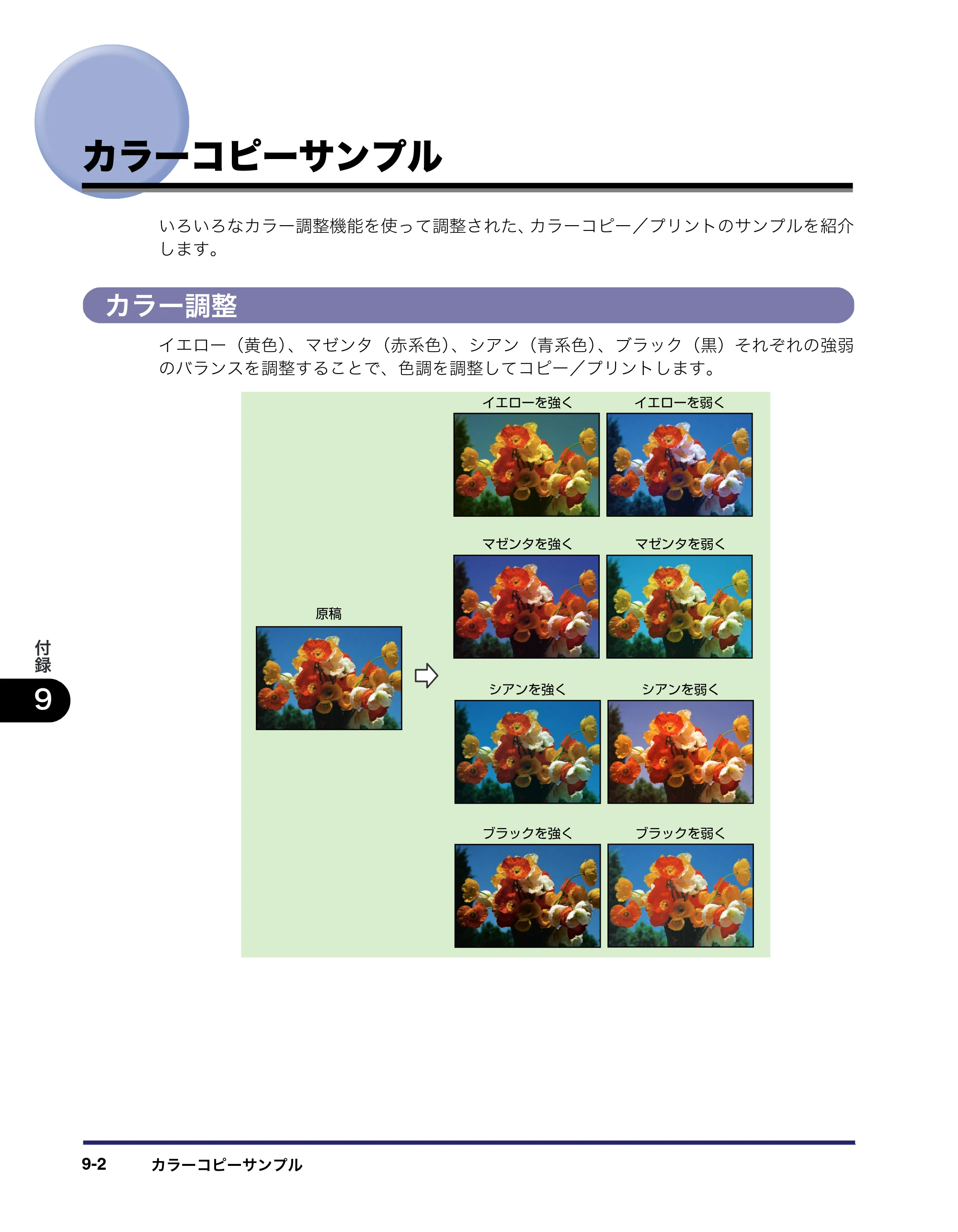 キヤノン iR C3580/C3580F/C3080/C3080F コピー／ボックスガイド （PDF形式／16.85Mバイト） — カラーコピーサンプル — 原本ページ — 376ページ