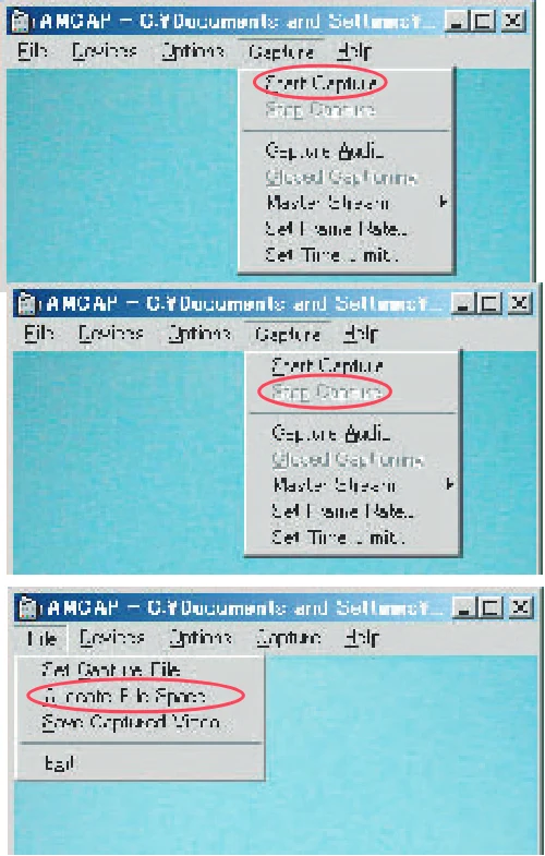 サンワサプライ 900-GC001LG / 900-GC001P 取扱説明書 — 5. AMCAPの操作 — 図版 2-1 — 2ページ