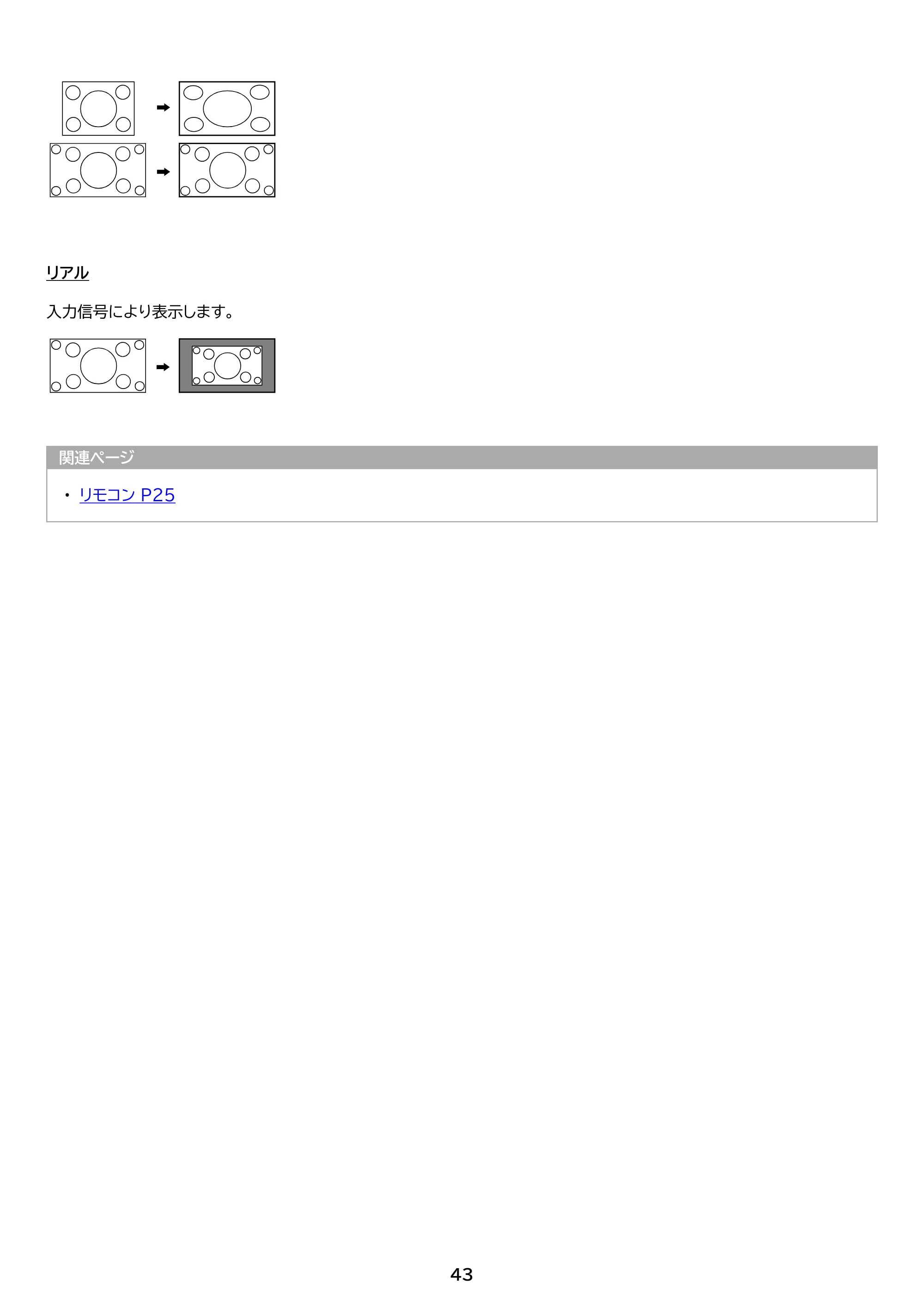 アイリスオーヤマ DO-DU654S 取扱説明書 — 原本ページ — 43ページ