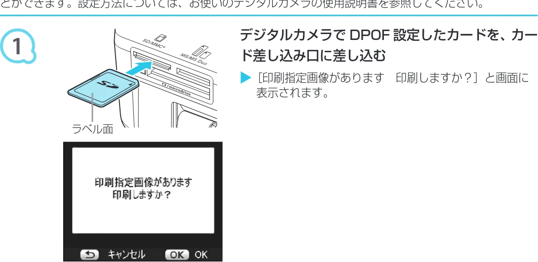 キヤノン SELPHY CP800 プリンターユーザーガイド （PDF：11.7MB） — デジタルカメラで指定した画像を印刷しよう（DPOF 印刷） — 図版 29-1 — 29ページ