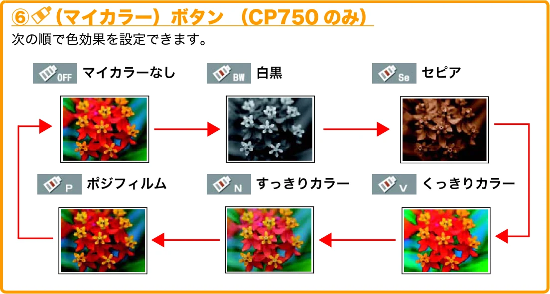 キヤノン SELPHY CP750/CP740 プリントガイド (PDF形式/1.67Mバイト) — ⑥ (マイカラー)ボタン (CP750 のみ) — 図版 10-1 — 10ページ