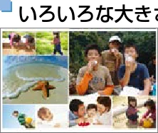 キヤノン SELPHY CP910 プリンターユーザーガイド (PDF:2.33MB) — 図版 25-1 — 25ページ