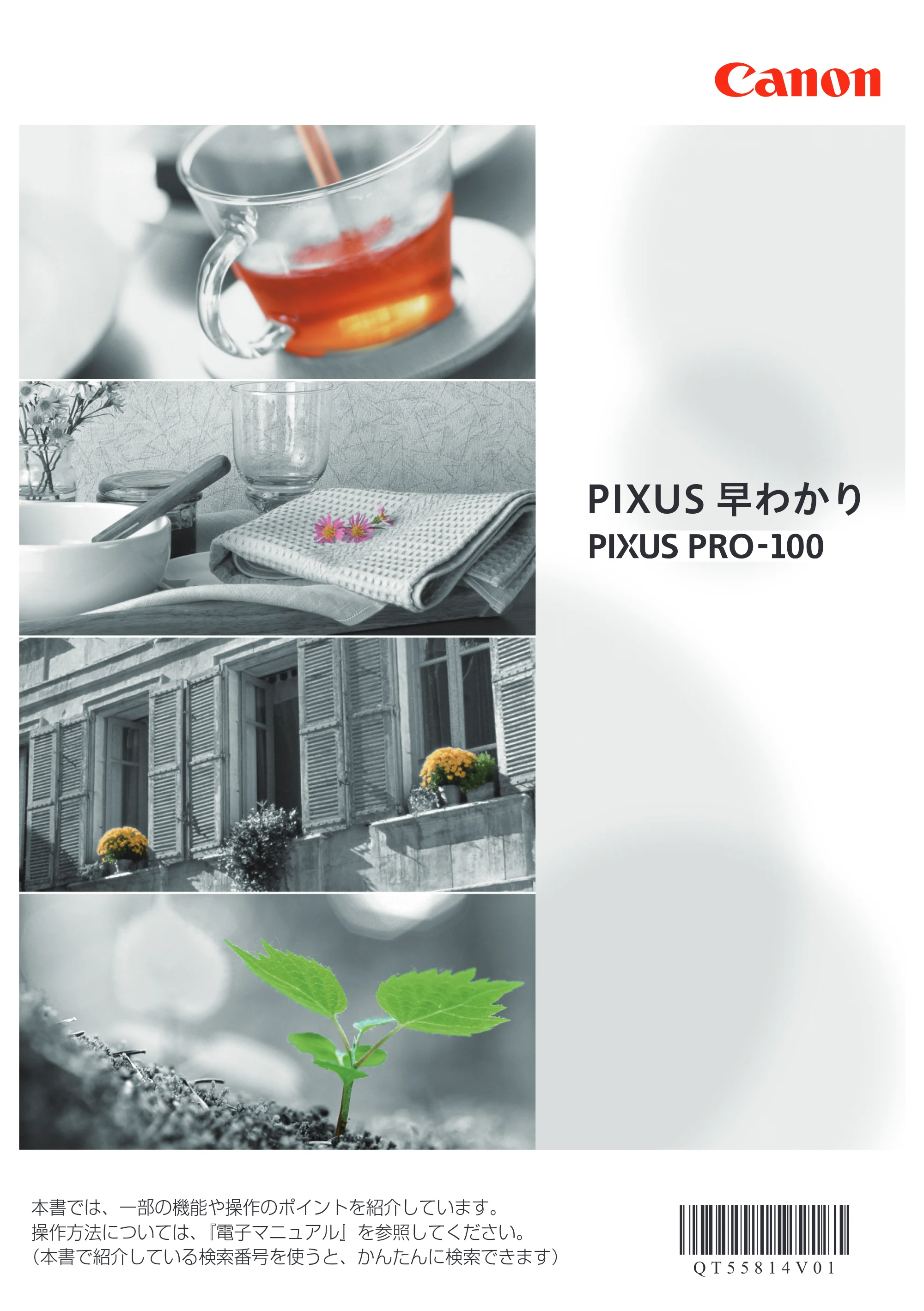 キヤノン PIXUS PRO-100 PIXUS早わかり（PDF：10.1MB） — 原本ページ — 1ページ