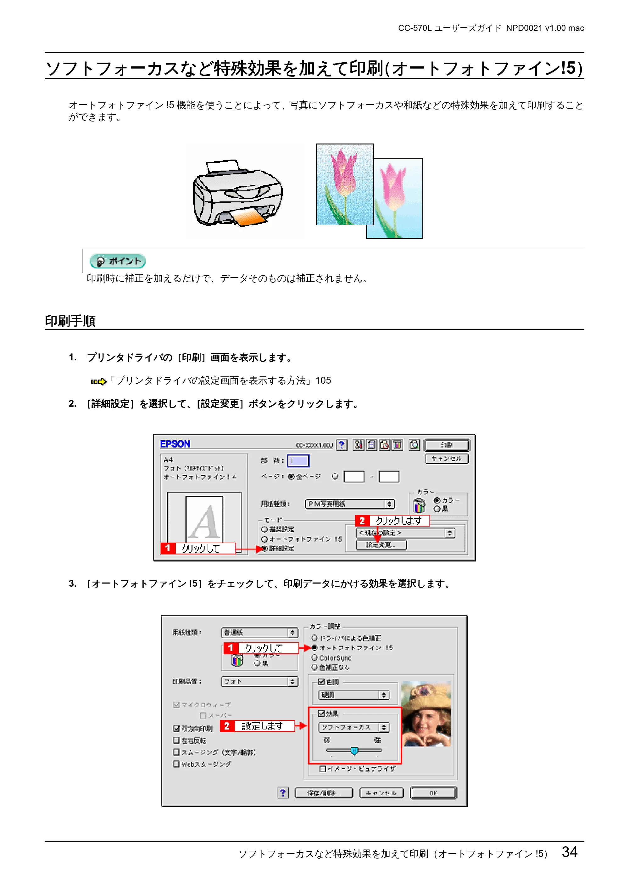 エプソン CC-570L CC-570L ユーザーズガイド (Macintosh版) — ソフトフォーカスなど特殊効果を加えて印刷(オートフォトファイン!5) — 原本ページ — 34ページ