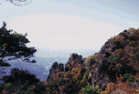 エプソン CC-570L CC-570L ユーザーズガイド (Macintosh版) — 写真をきれいに取り込もう159 — 図版 159-1 — 159ページ
