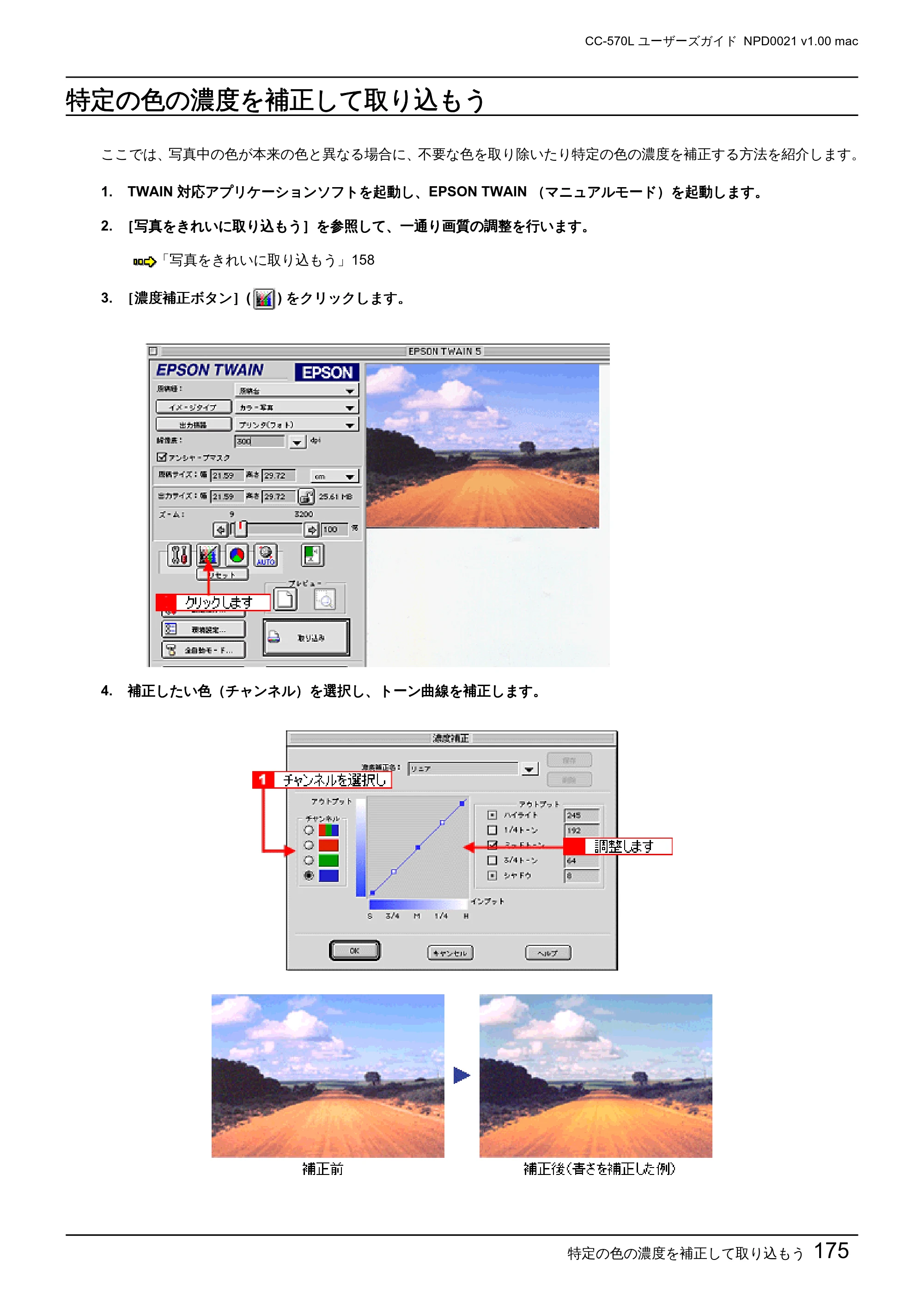 エプソン CC-570L CC-570L ユーザーズガイド (Macintosh版) — 特定の色の濃度を補正して取り込もう — 原本ページ — 175ページ