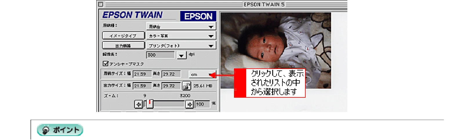 エプソン CC-570L CC-570L ユーザーズガイド (Macintosh版) — 取り込み範囲を調整して取り込もう — 図版 185-2 — 185ページ