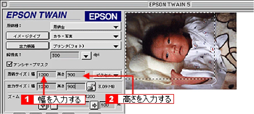 エプソン CC-570L CC-570L ユーザーズガイド (Macintosh版) — 取り込み範囲を自動的に原稿に合わせる（自動範囲選択） — 図版 186-1 — 186ページ