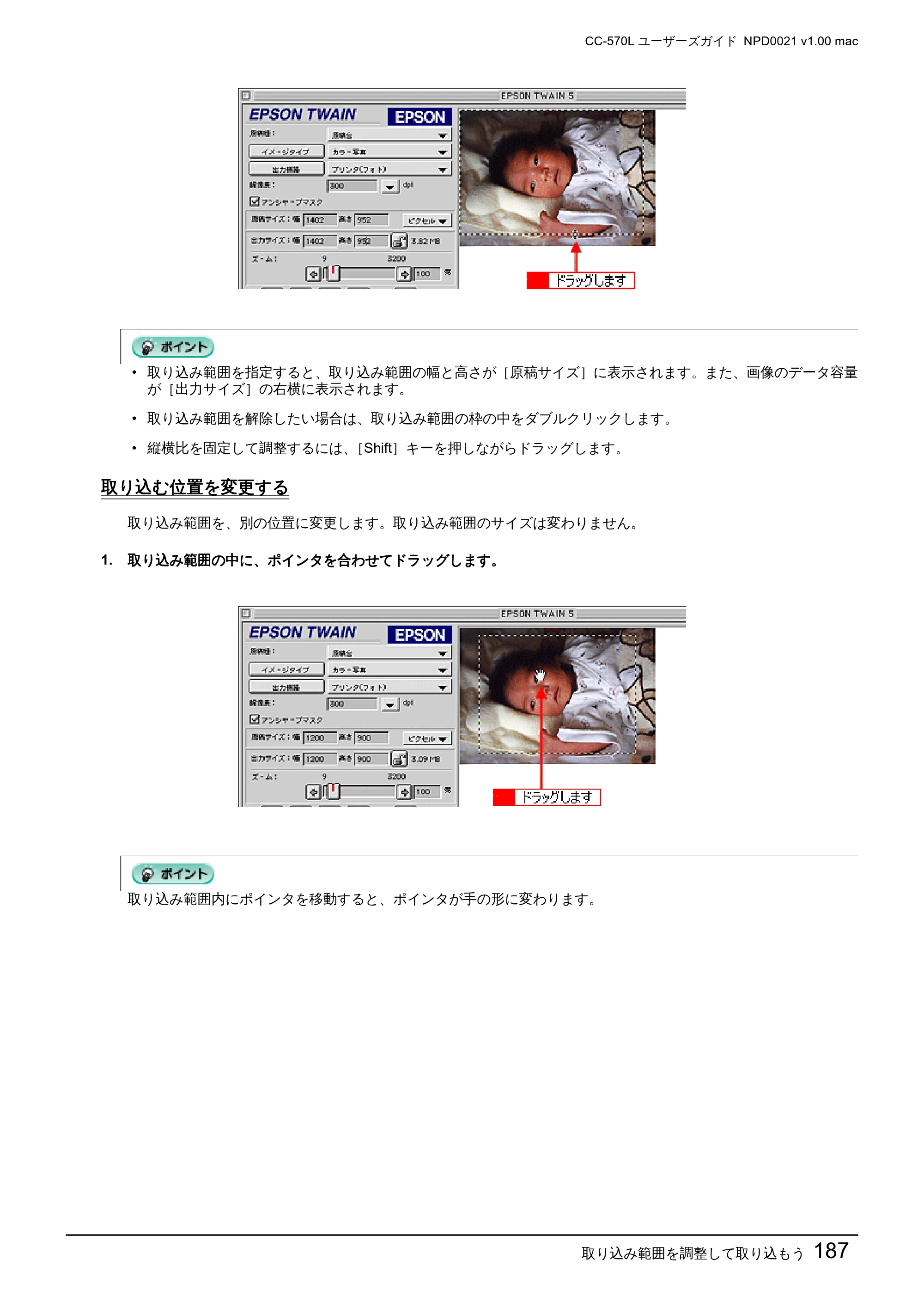 エプソン CC-570L CC-570L ユーザーズガイド (Macintosh版) — 取り込む位置を変更する — 原本ページ — 187ページ