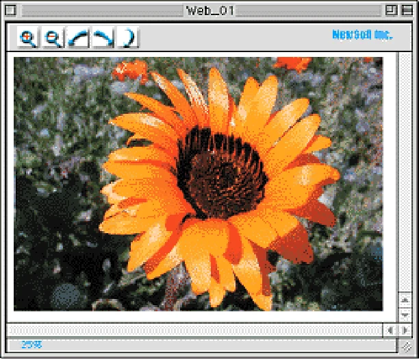 エプソン CC-570L CC-570L ユーザーズガイド (Macintosh版) — Web — 図版 237-2 — 237ページ