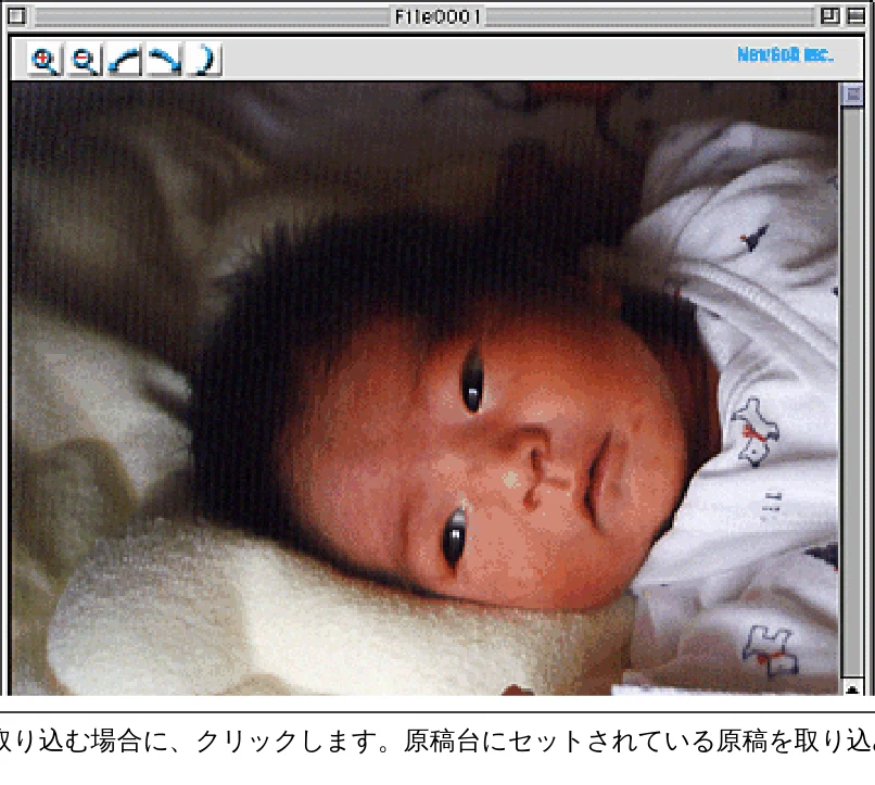エプソン CC-570L CC-570L ユーザーズガイド (Macintosh版) — ファイル保存 — 図版 242-2 — 242ページ
