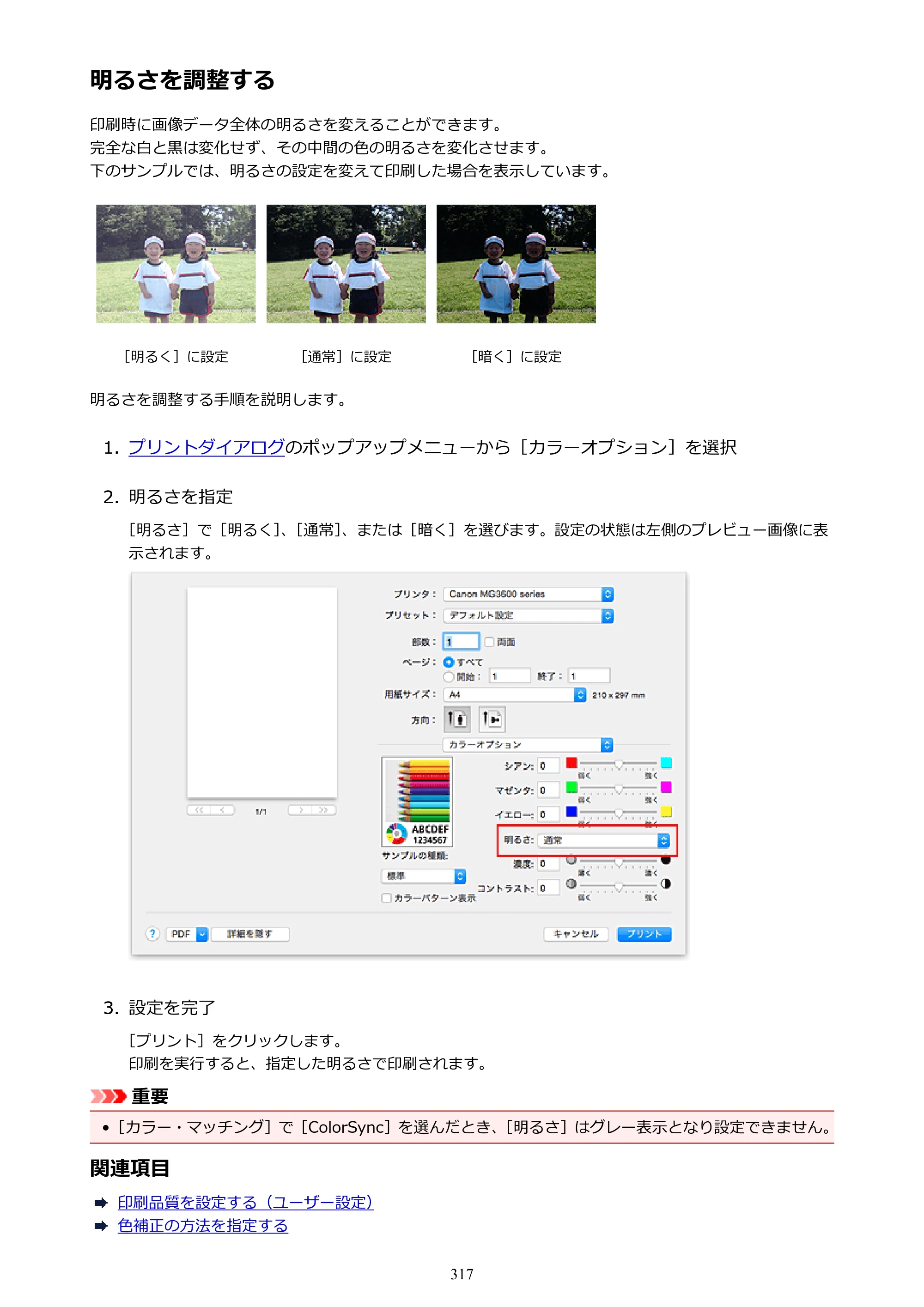 キヤノン PIXUS MG3630 MG3630 （PDF） オンラインマニュアル - 取扱説明書 - （Mac） 2026年5月21日更新（PDF：9.2MB） — 明るさを調整する — 原本ページ — 317ページ