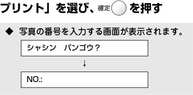 ブラザー DCP-110C 取扱説明書(本体) — 例)L判、2L判、ハガキに写真を印刷する — 図版 46-1 — 46ページ