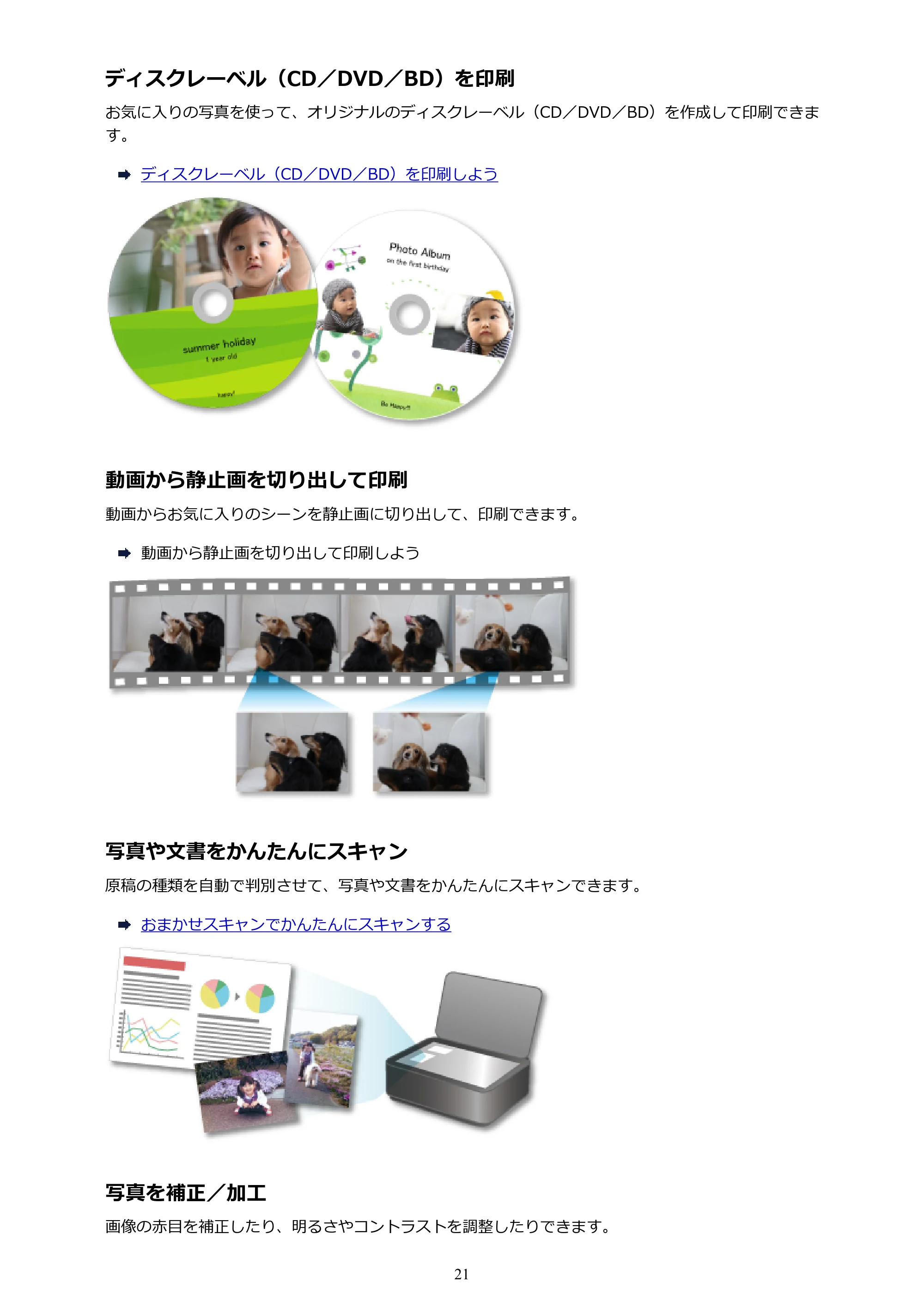 キヤノン PRO-1000 My Image Garden 用ガイド (Windows版)(PDF:2.99MB) — 原本ページ — 21ページ