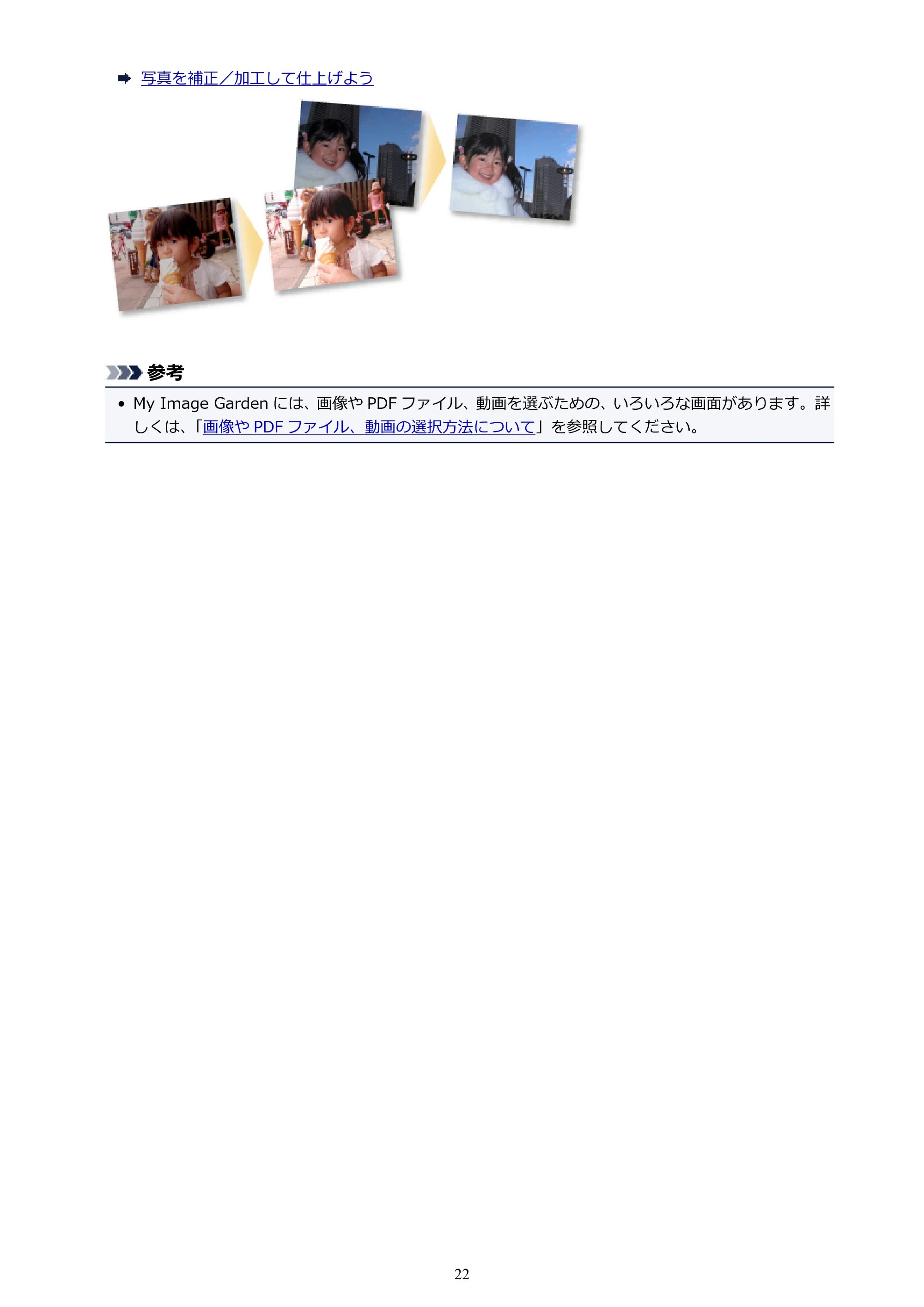キヤノン PRO-1000 My Image Garden 用ガイド (Windows版)(PDF:2.99MB) — 原本ページ — 22ページ