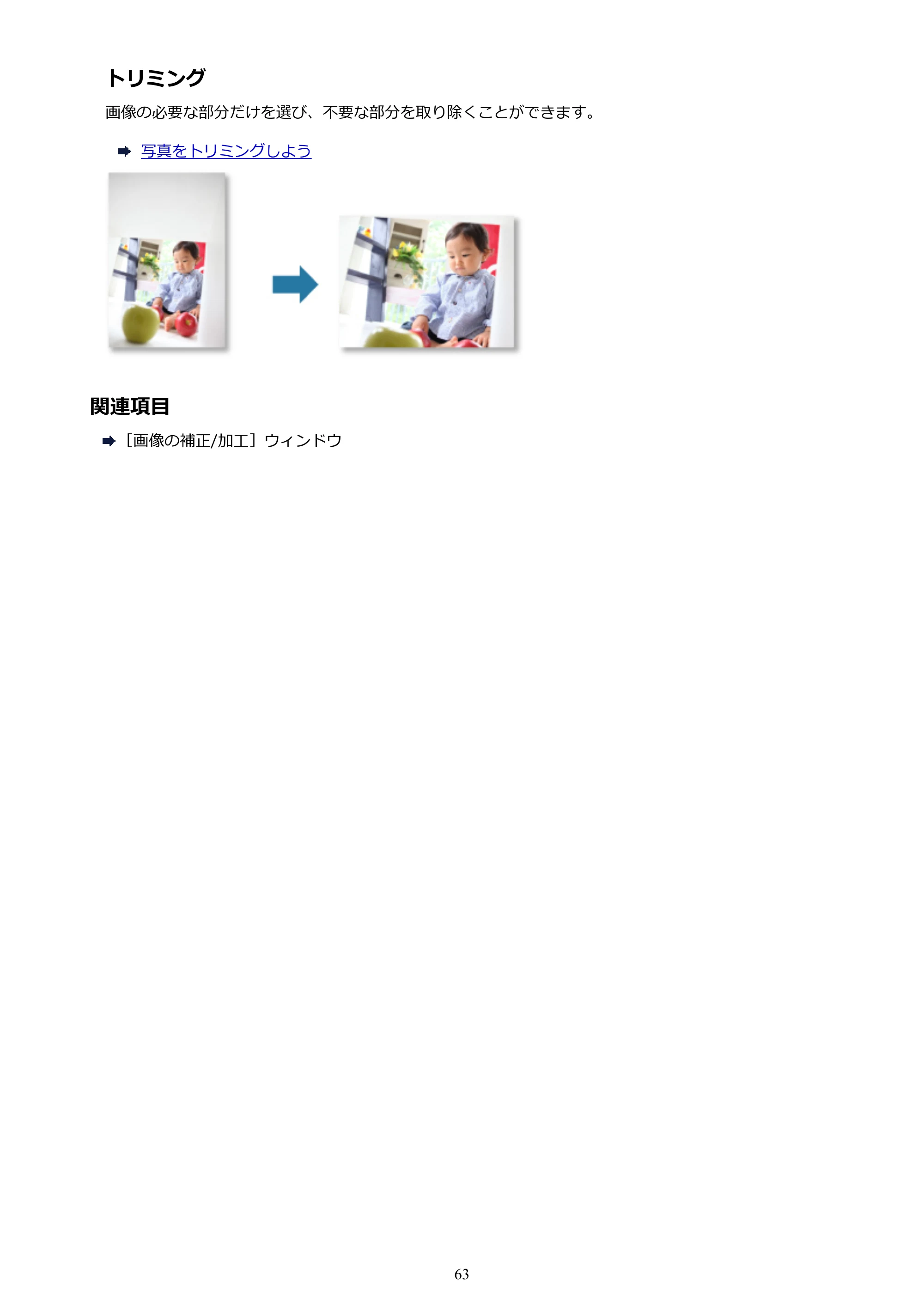 キヤノン PRO-1000 My Image Garden 用ガイド （Windows版）（PDF：2.99MB） — 原本ページ — 63ページ