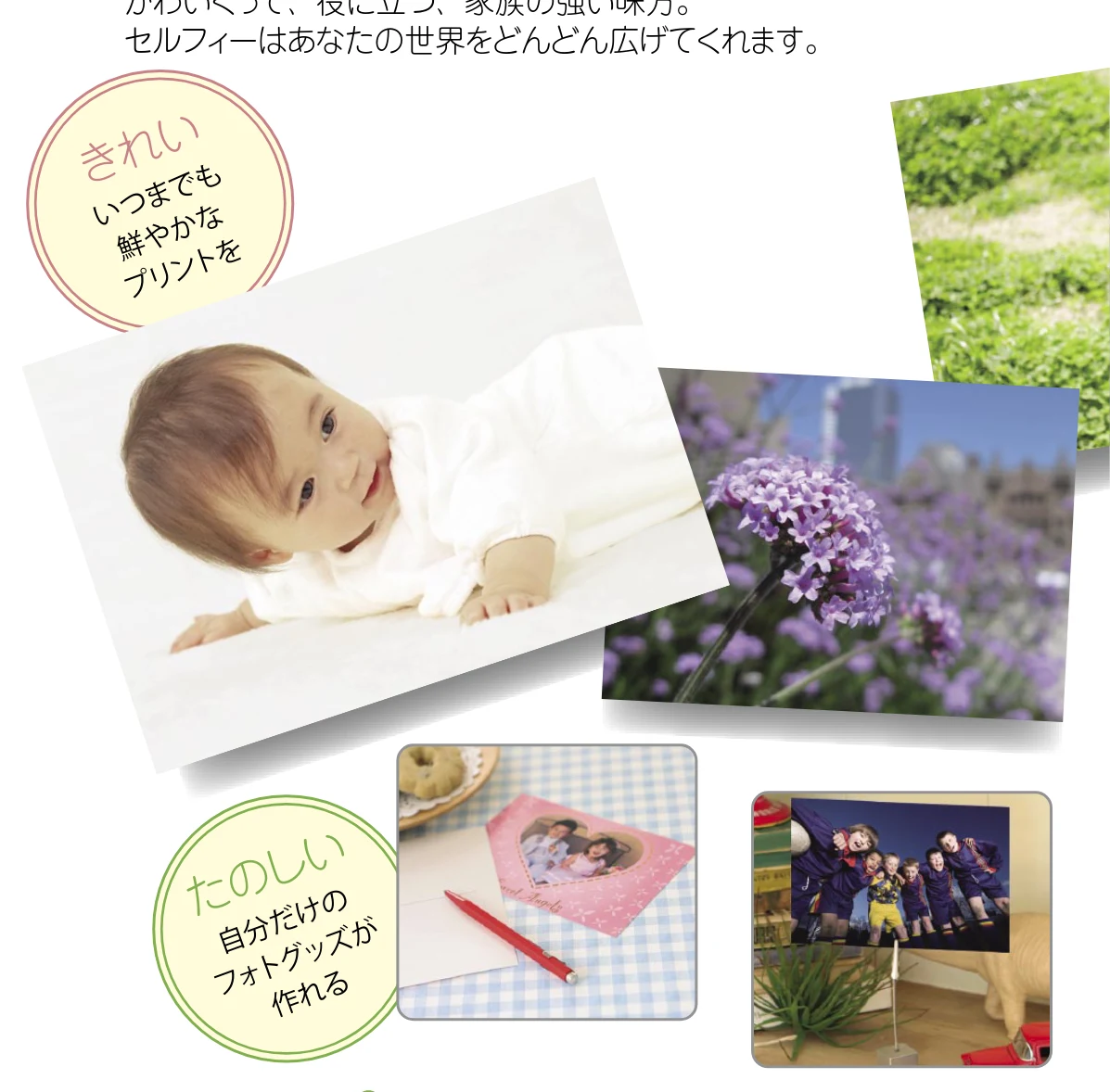 キヤノン SELPHY CP760 プリントガイド (PDF形式/7.86Mバイト) — わが家にセルフィーがやってきた — 図版 2-1 — 2ページ