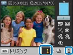 キヤノン SELPHY CP1200 プリンターユーザーガイド(スマートフォン用) (PDF:2.02MB) — 29 ç 目次 — 図版 29-1 — 29ページ