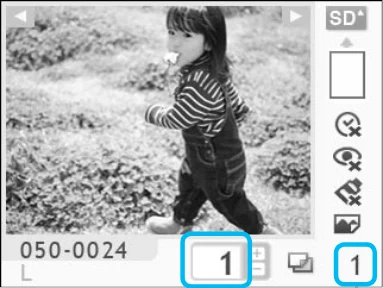 キヤノン SELPHY CP780 プリンターユーザーガイド (PDF形式/4.59Mバイト) — 画像を選んで印刷しよう — 図版 13-3 — 13ページ