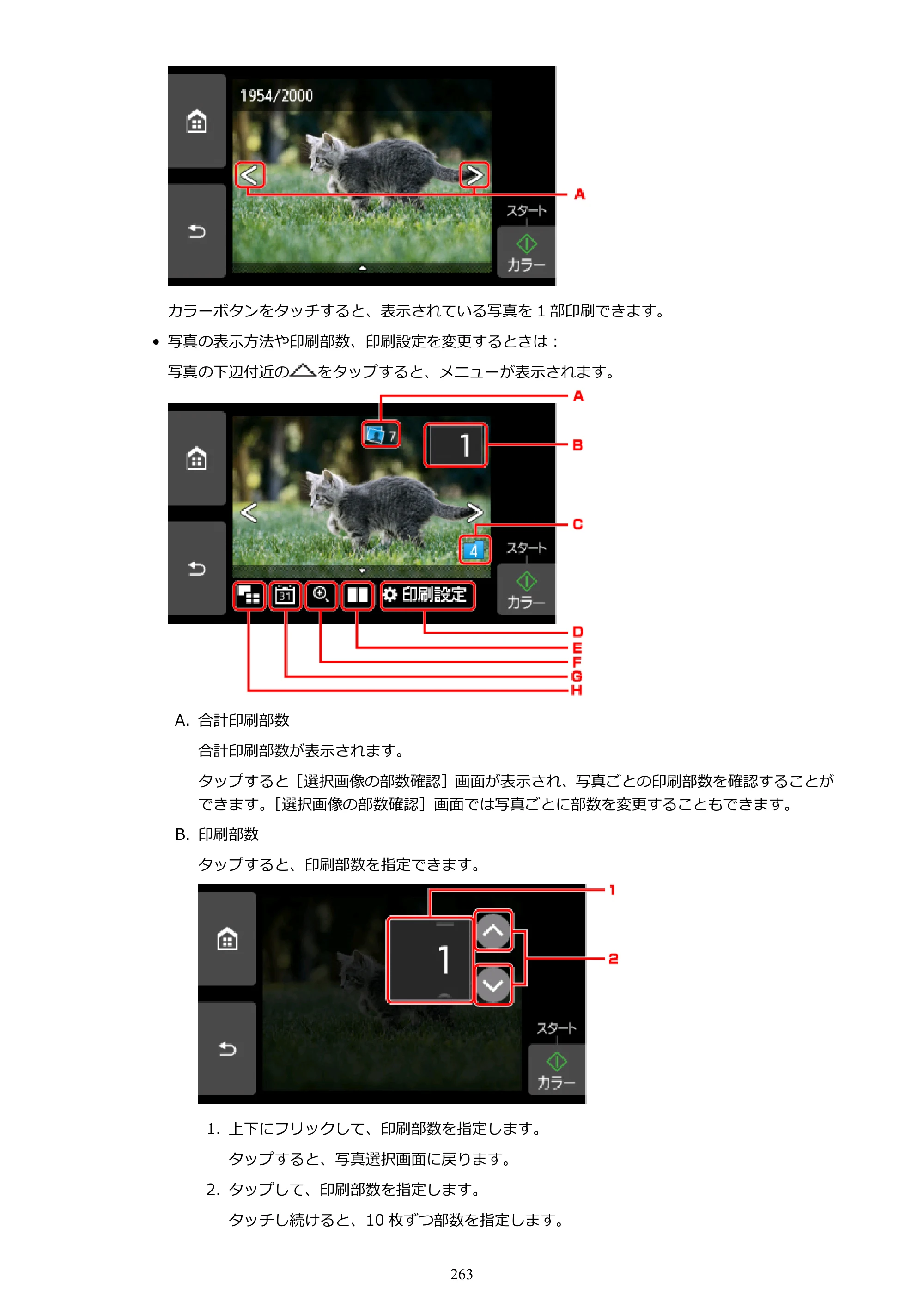 キヤノン PIXUS TS9030 電子マニュアル PDF版 （Windows版）（PDF：17.0MB） — 原本ページ — 263ページ