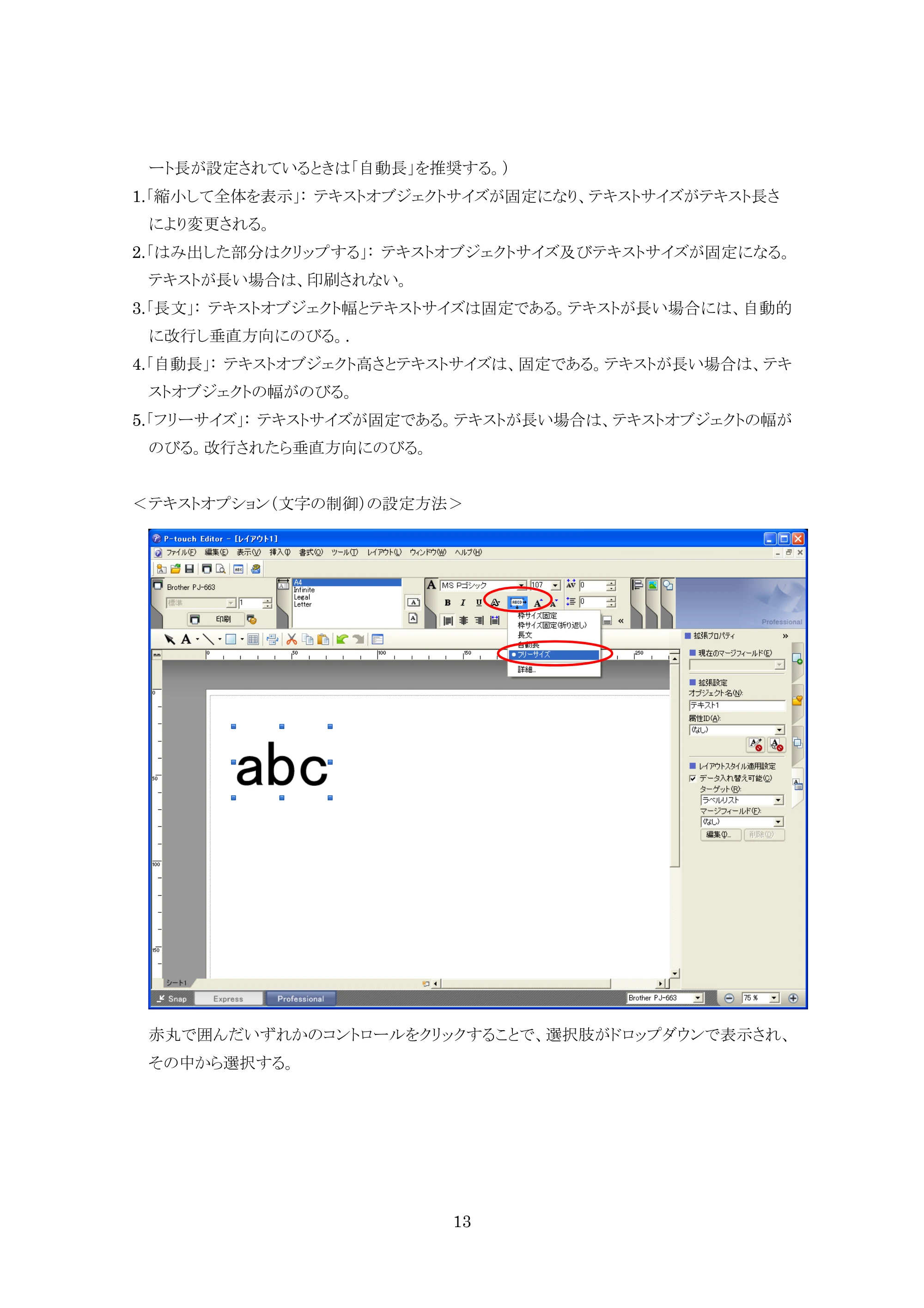 ブラザー PJ-623 / PJ-663 P-touch テンプレートマニュアル / コマンドリファレンス — 原本ページ — 13ページ
