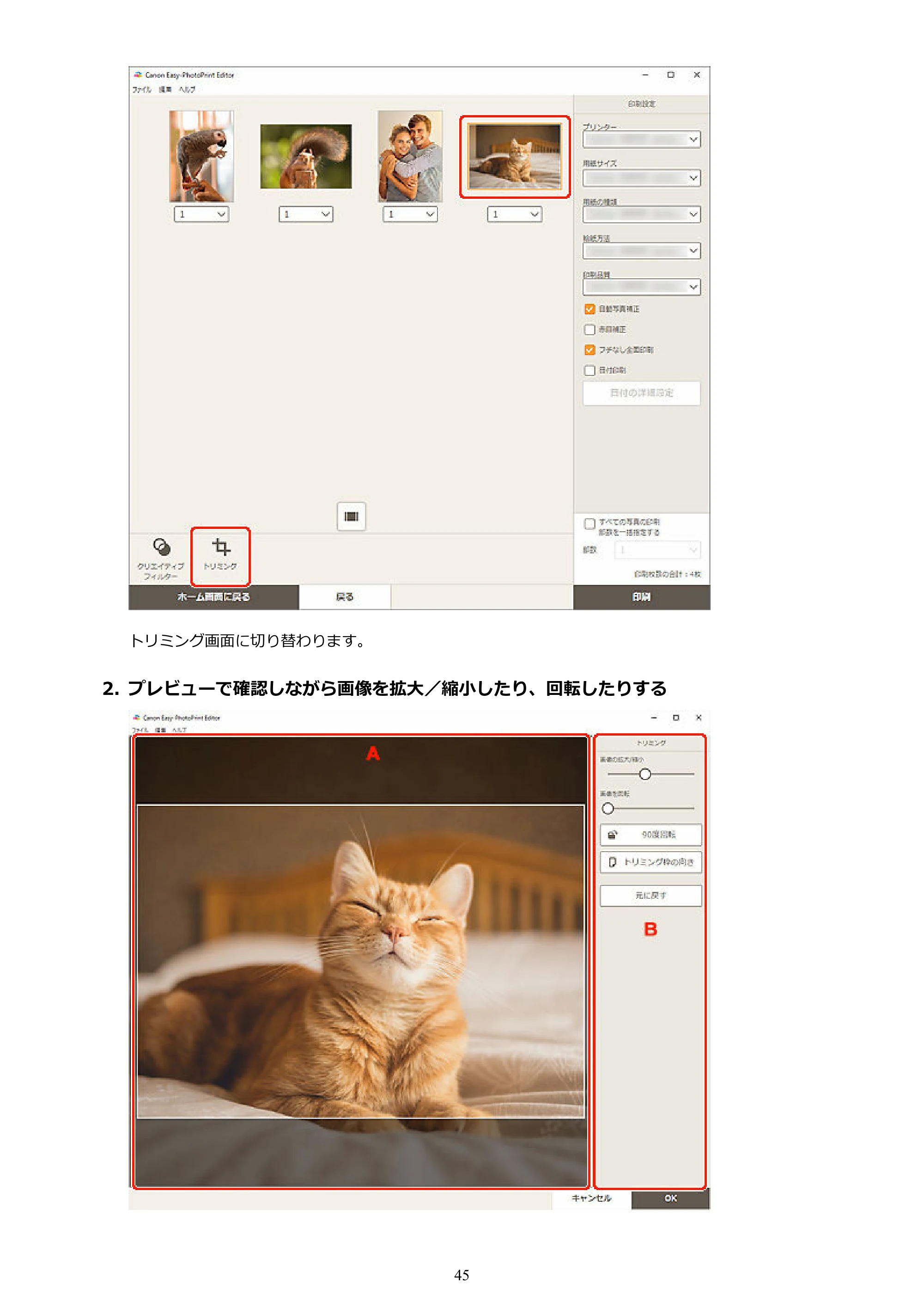 キヤノン PRO-1100 / PRO-2100 / PRO-4100 Easy-PhotoPrint Editor用ガイド（Windows／Mac）2026年1月15日更新（PDF：6.30MB） — 原本ページ — 45ページ
