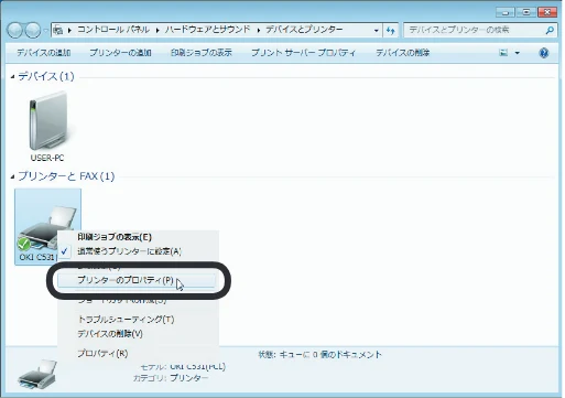 沖電気 C301dn / C312dn / C511dn ユーザーズマニュアル セットアップと使いかた編 言語 : 日本語 ac1 (サイズ: 32.7 MB) — オプションの設定(Windowsをお使いのかた) — 図版 48-3 — 48ページ