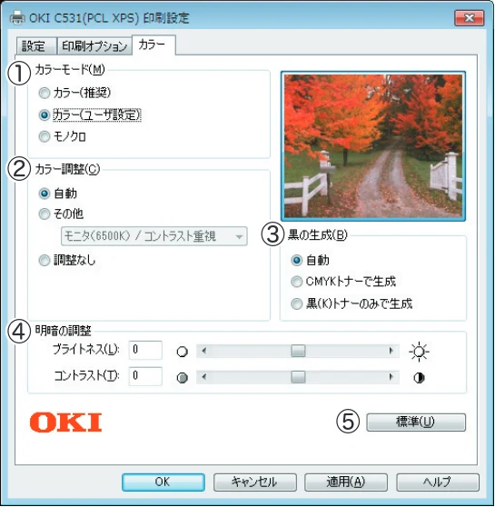 沖電気 C301dn / C312dn / C511dn ユーザーズマニュアル セットアップと使いかた編 言語 : 日本語 ac1 (サイズ: 32.7 MB) — Mac OS X PSプリンタードライバーの機能 — 図版 73-1 — 73ページ