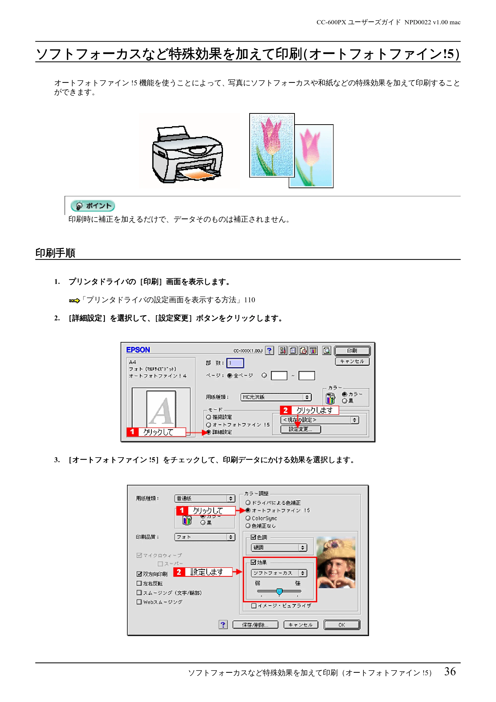エプソン CC-600PX ユーザーズガイド for Macintosh — ソフトフォーカスなど特殊効果を加えて印刷(オートフォトファイン!5) — 原本ページ — 36ページ