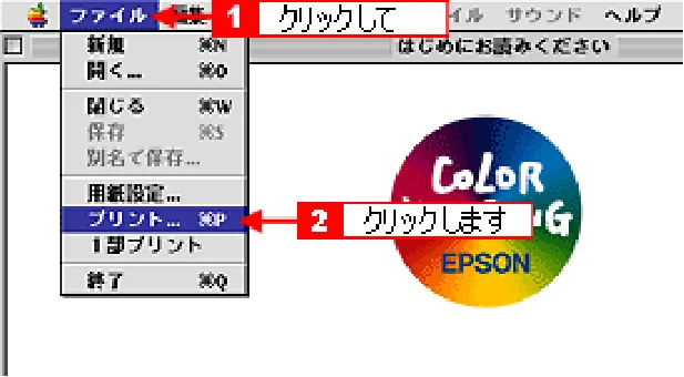 エプソン CC-600PX ユーザーズガイド for Macintosh — プリンタドライバの設定画面を表示する方法 — 図版 110-1 — 110ページ