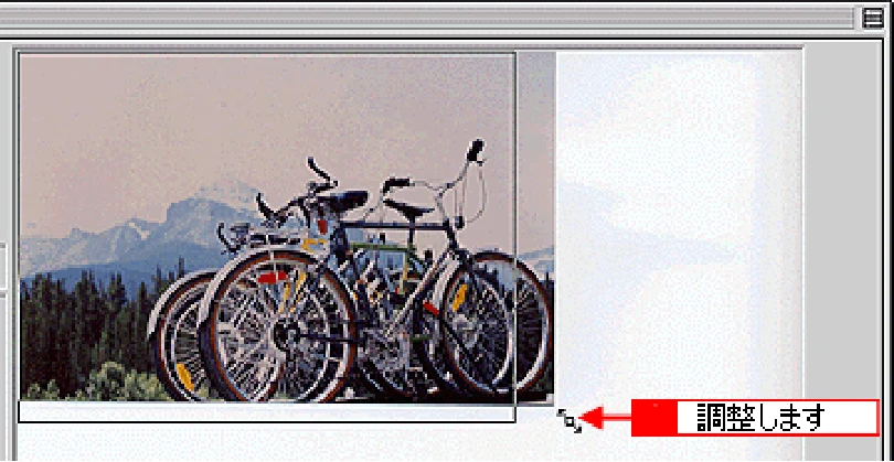 エプソン CC-600PX ユーザーズガイド for Macintosh — 取り込み後のサイズ(出力サイズ)を指定する161 — 図版 161-2 — 161ページ