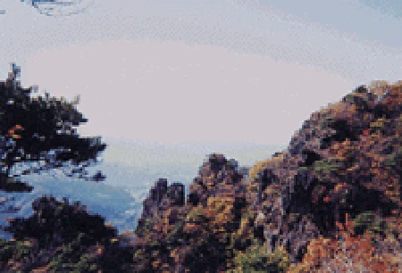 エプソン CC-600PX ユーザーズガイド for Macintosh — 写真をきれいに取り込もう — 図版 163-1 — 163ページ