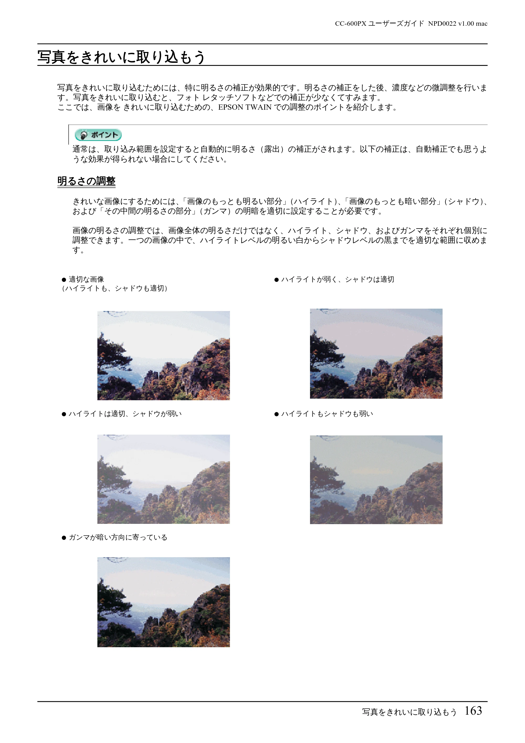エプソン CC-600PX ユーザーズガイド for Macintosh — 写真をきれいに取り込もう — 原本ページ — 163ページ